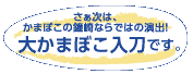 大かまぼこ入刀